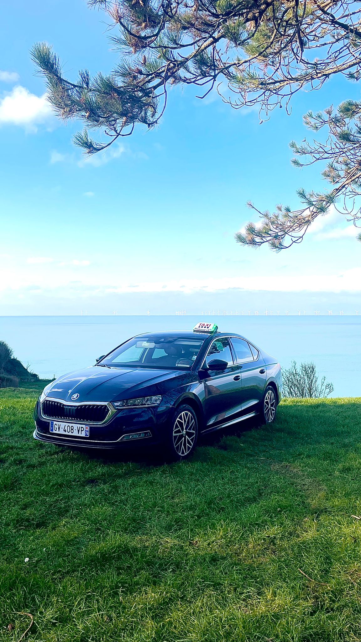 WhatsApp Image 2025 02 09 A 11.18.13 237af529